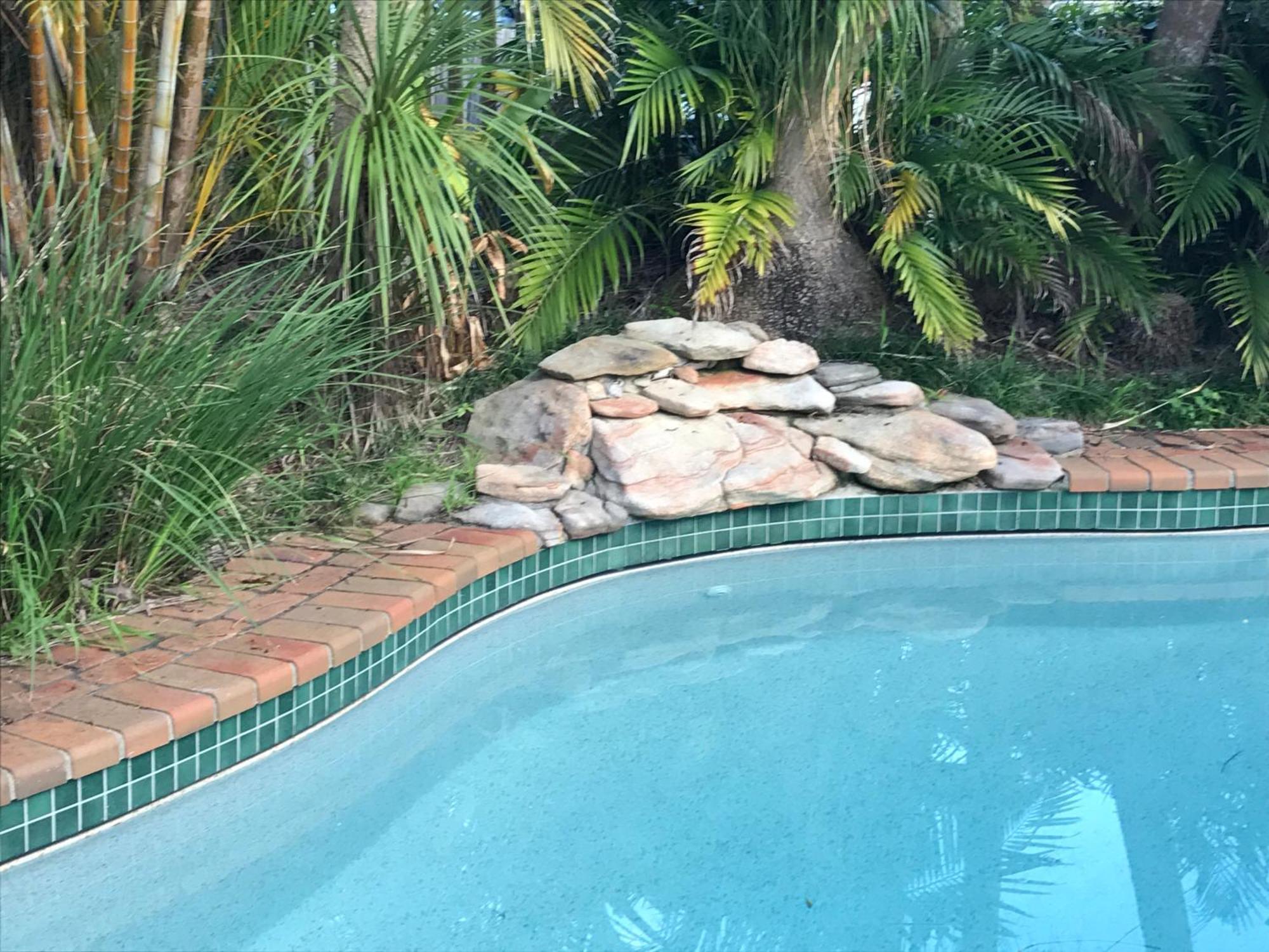Guest House On Hyde Bellingen Bagian luar foto